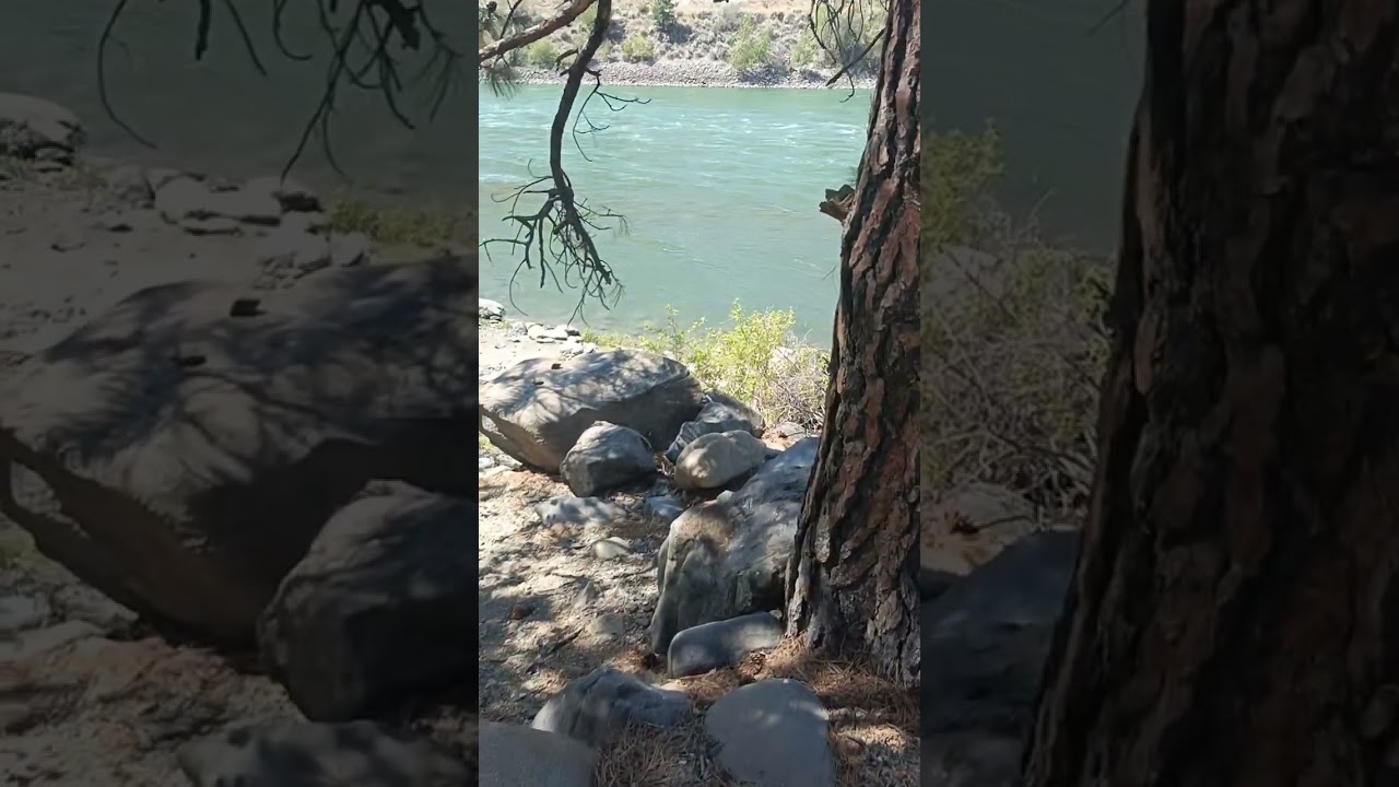 Goldpan Campsite, Thompson River BC Canada.