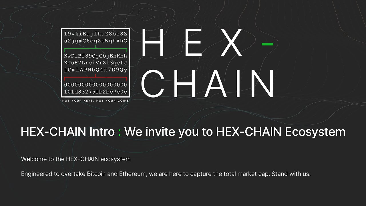 Join the HEX-CHAIN ecosystem.