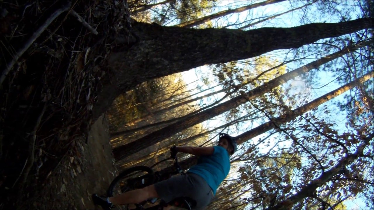 Bikes.wmv