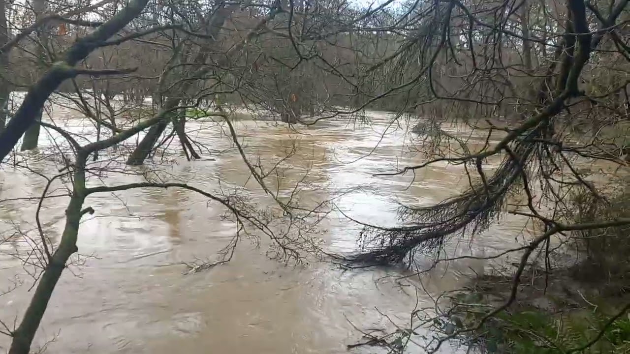 River Yeo Flooding (27/1/26)