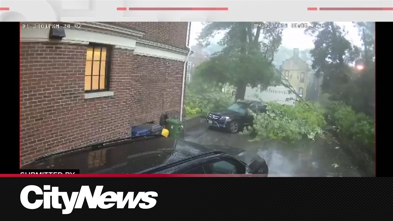То, что вы увидели: зрители CityNews делятся видеозаписями шторма от первого лица