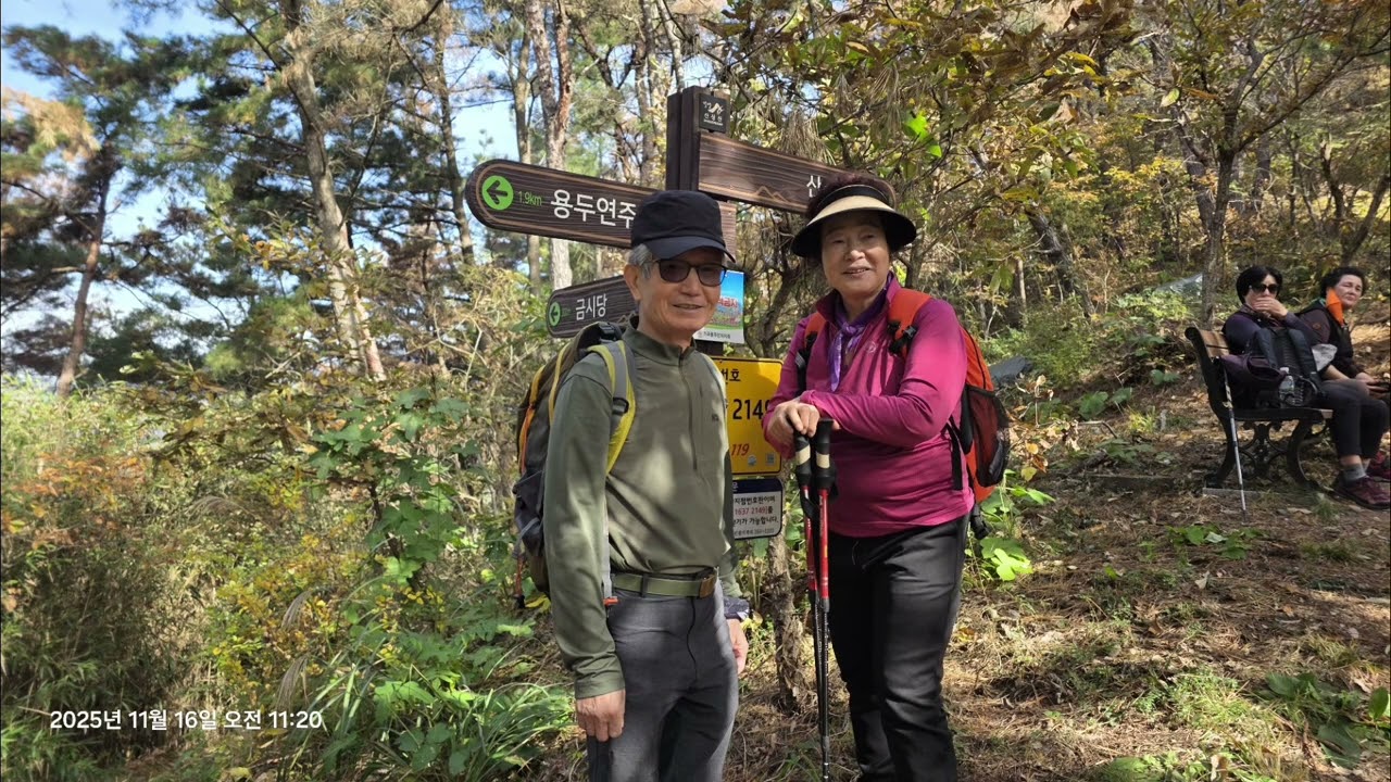 밀양 용두산  달팽이 전망대 수변산책로 (잔도길)
