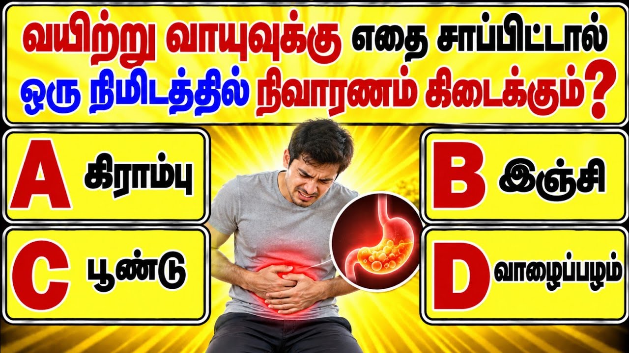 gk questions in tamil | gk questions and answers in tamil | gk question | @Study__My__Way 