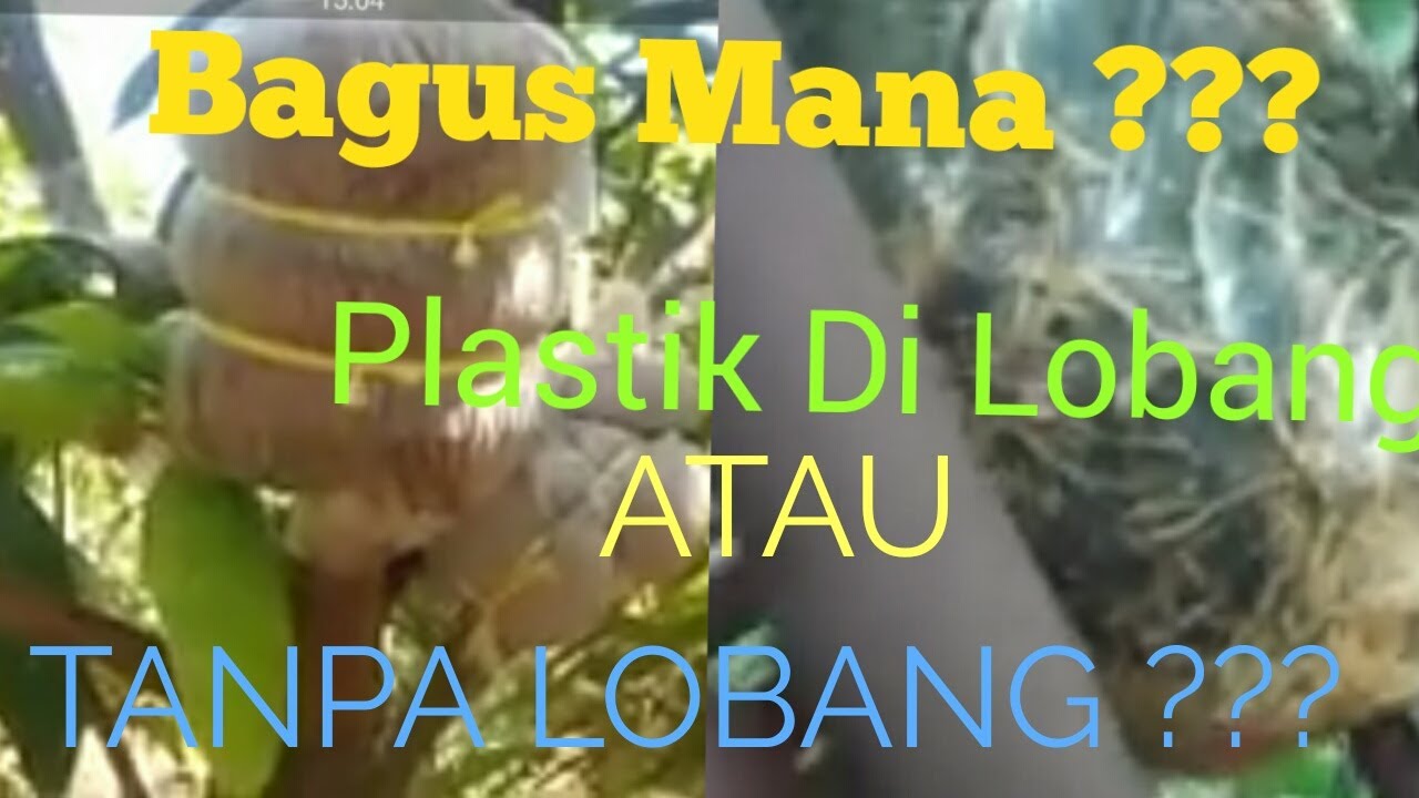 Cangkok DGN Plastik Lobang ATAU Tanpa Lobang