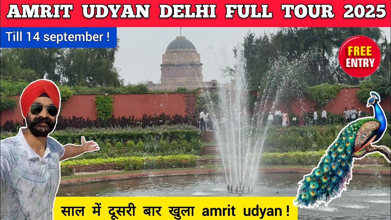 Amrit udyan rashtrapati bhavan 2025 - mughal garden delhi vlog | Amrit udyan 2025 amrit udyan delhi