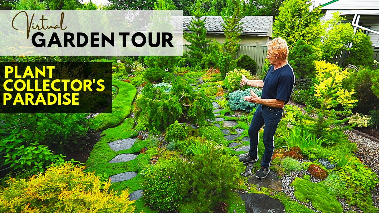 Unlocking a Collector's Paradise: Take a Virtual Garden Tour!