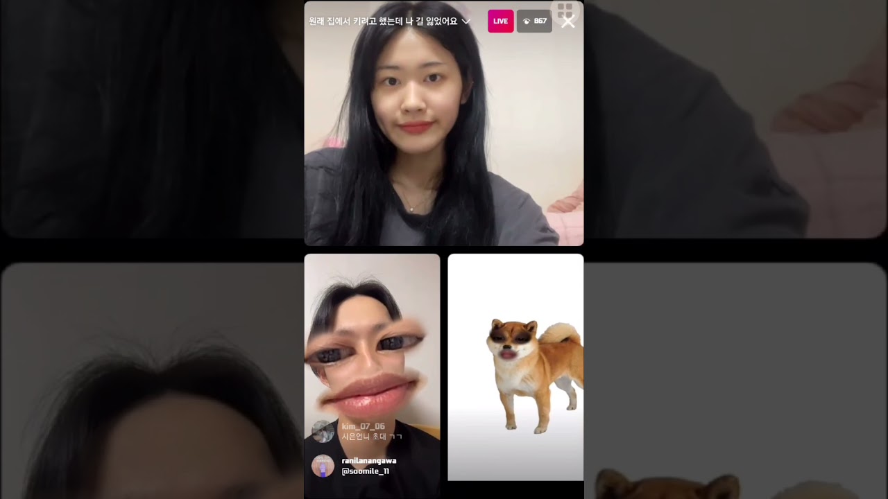 211126 Hyerim IG live (with Hojun, Sieun, Jaemin, Minjin, Suhwan)