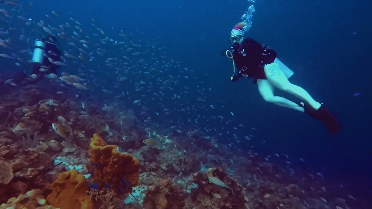 Curacao SCUBA Diving 2024