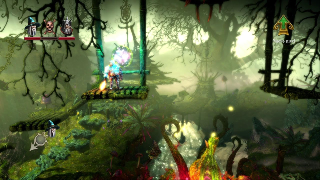 TRINE 2 COOP #1