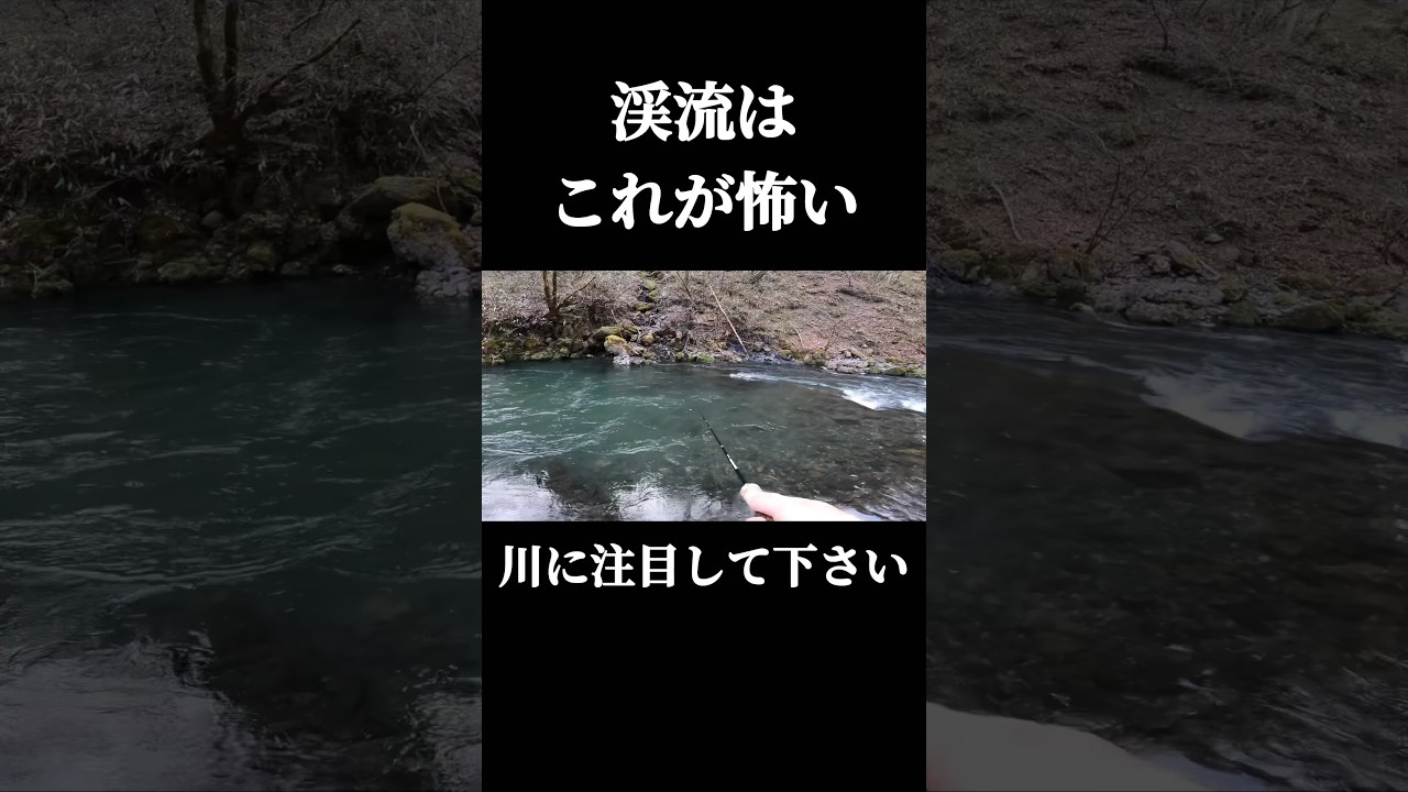 渓流はこれが怖い。#shorts