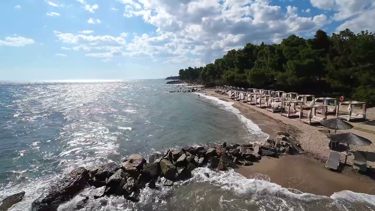 Blue Dolphin Resort Hotel