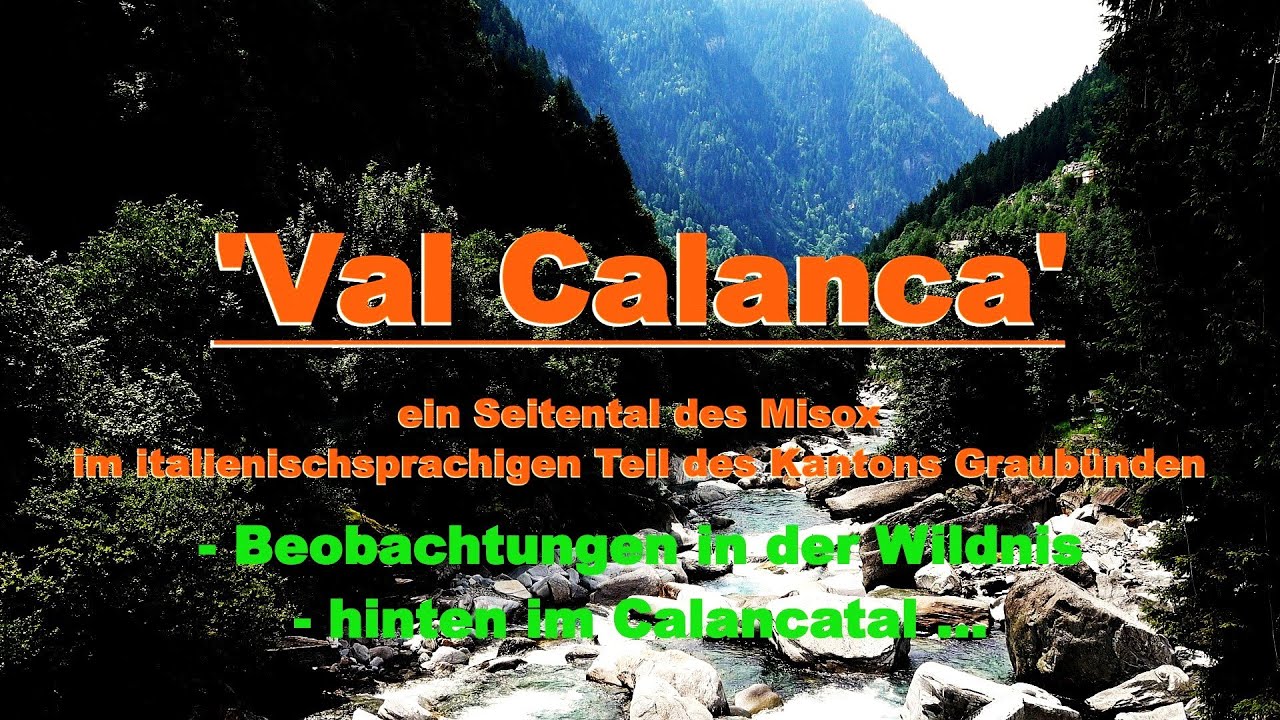 'VAL CALANCA' - 2025 - Beobachtungen in der romantischen Wildnis des Calancatales - ca. 34 Minten !!