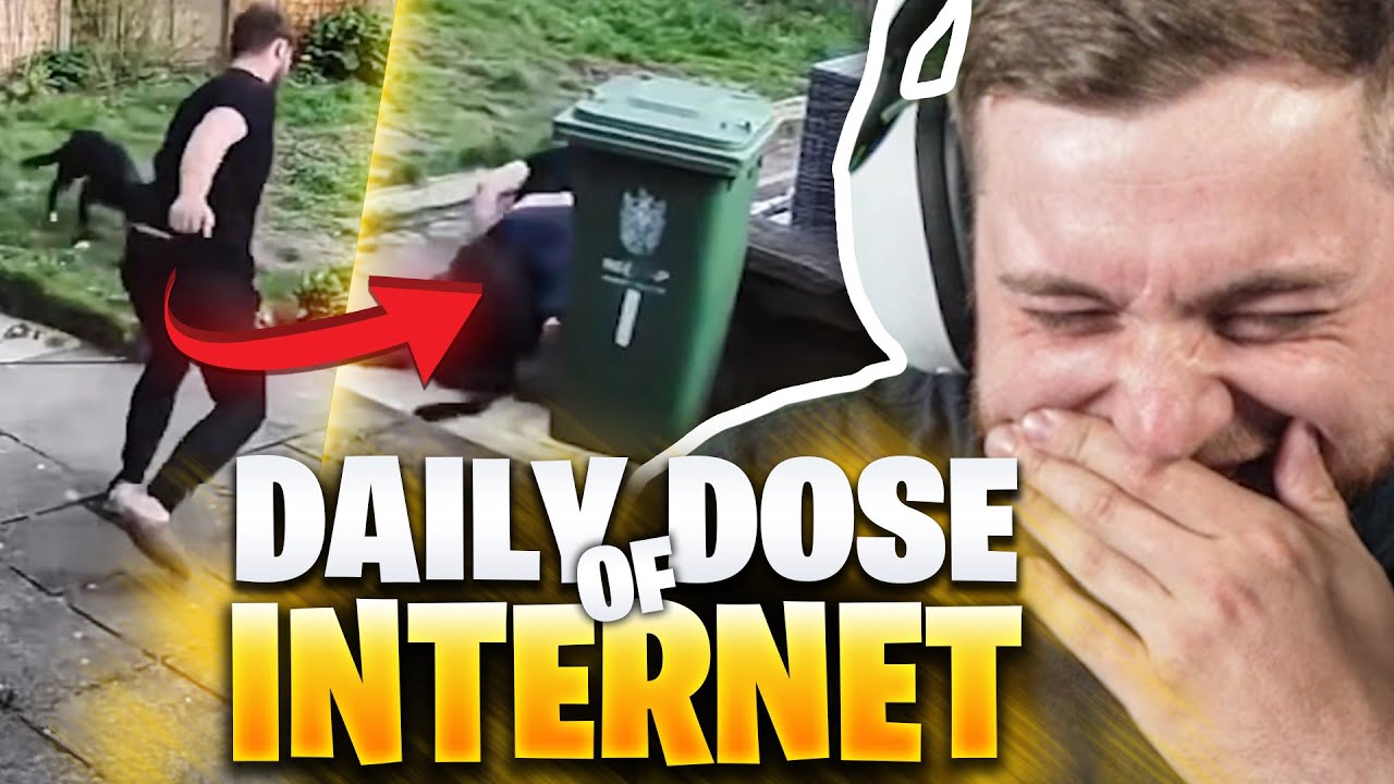 😂😱HUND mit FETTER GRÄTSCHE haut MENSCH UM im Daily DOSE | Trymacs Stream Highlights