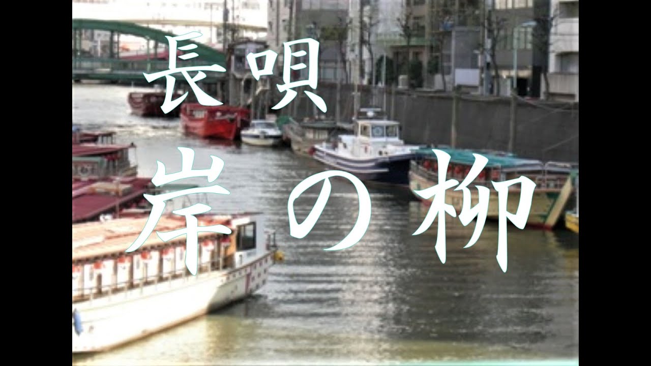 長唄　岸の柳(kishinoyanagi)#shamisen#岸の柳