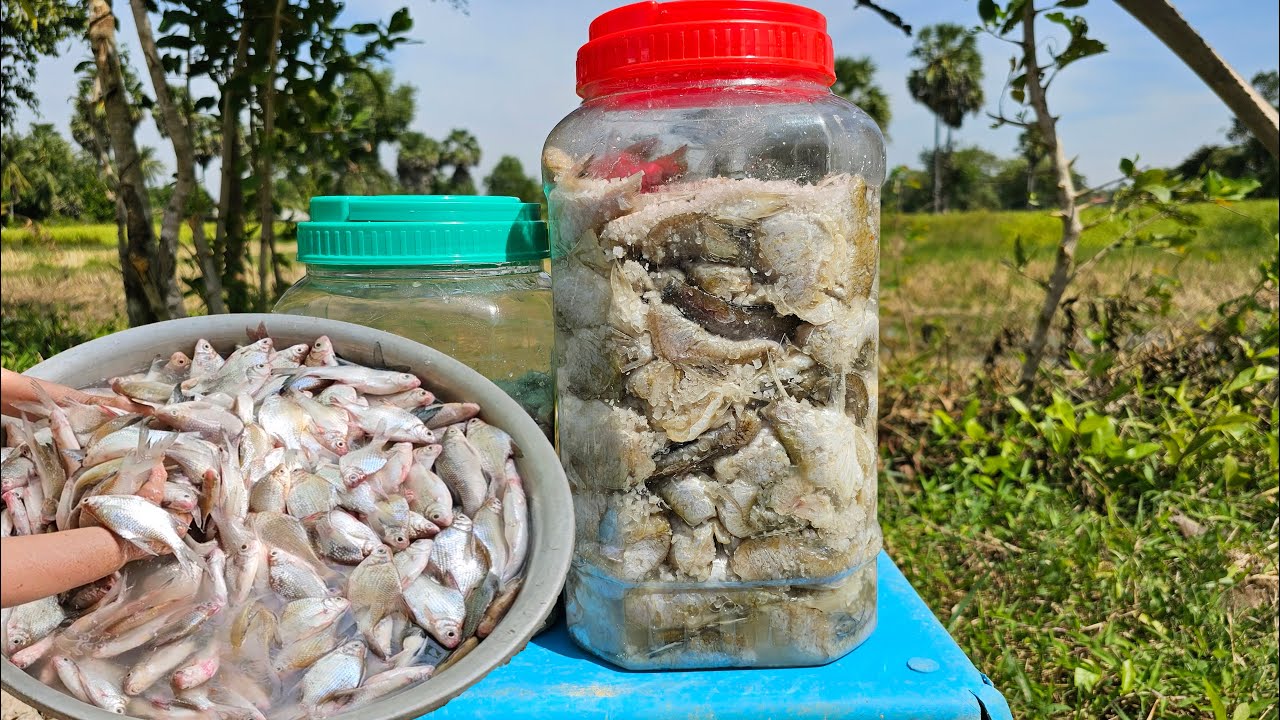 How to made cheese Khmer , Fresh fish mad food,[如何制作高棉奶酪，新鲜鱼类美食],Comment faire du fromage khmer,