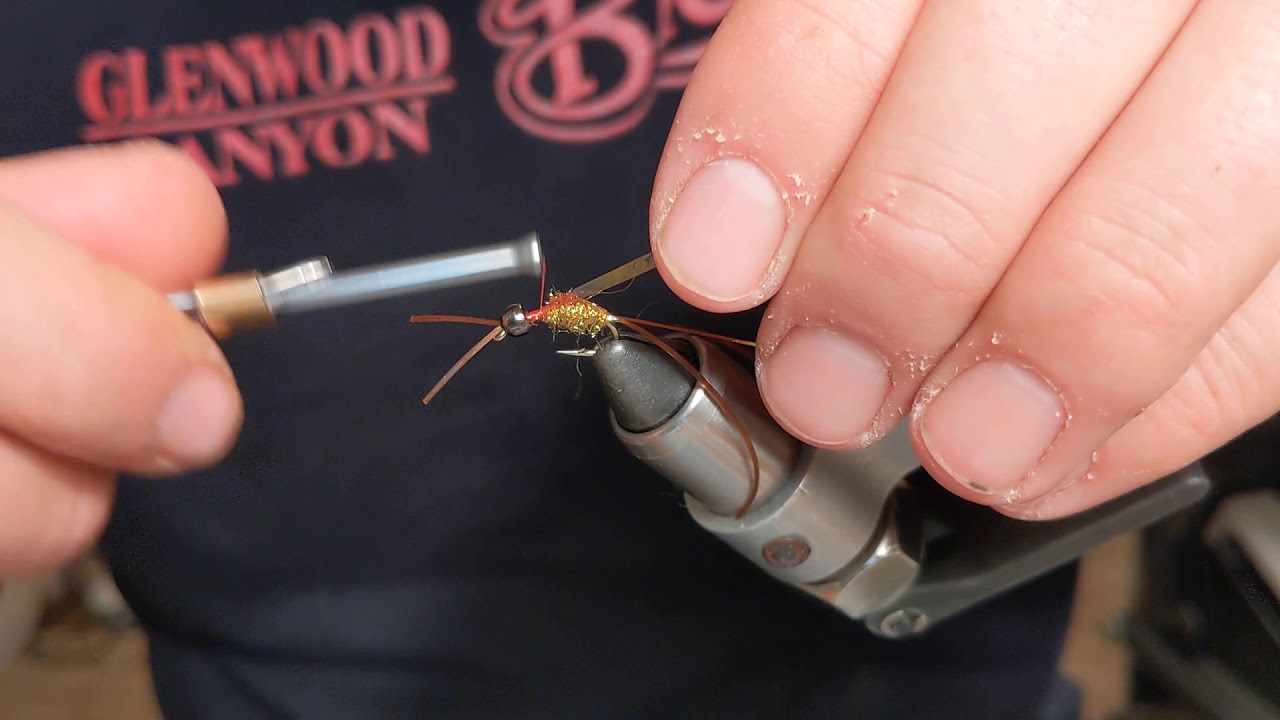 Stonefly nymph
