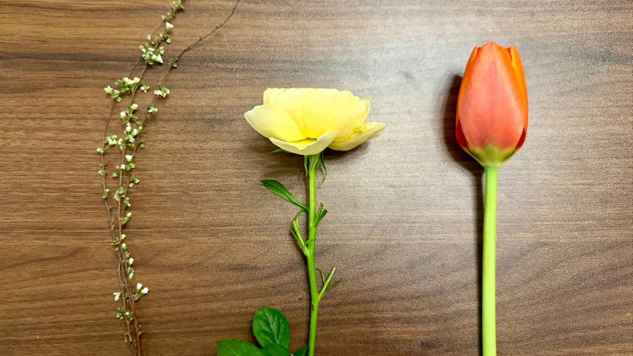 塔羅  | 宇宙对你的爱？今年对你的意义？春节好消息7件