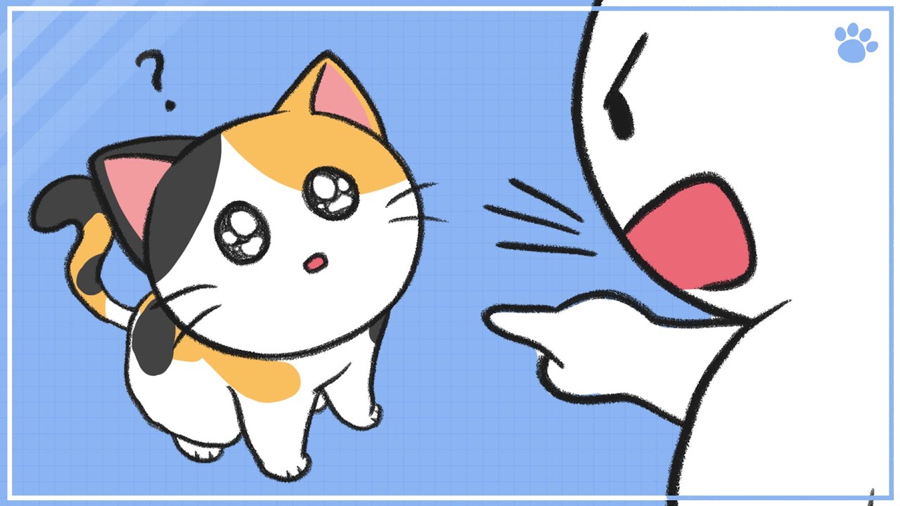 How To Discipline Your Cat Properly