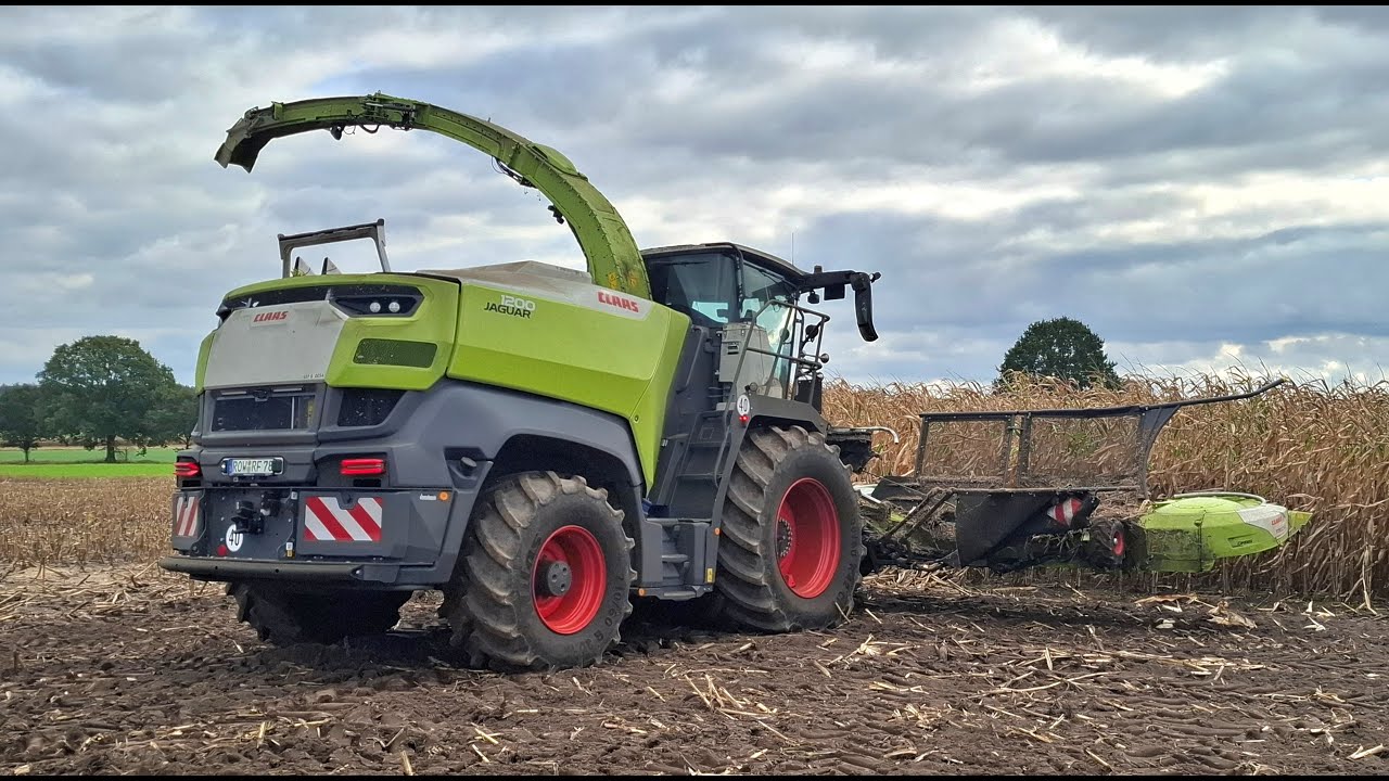 Maïs 2025 | Claas Jaguar 1200 | 14 row | Big capacity | 5x Three-Axels | Maize harvest | Rachow