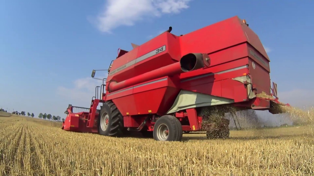 Żniwa 2017 | Massey Ferguson 34 | MF 5425 | Ursus 1002 | MasseyProject | Sony as200v | HD