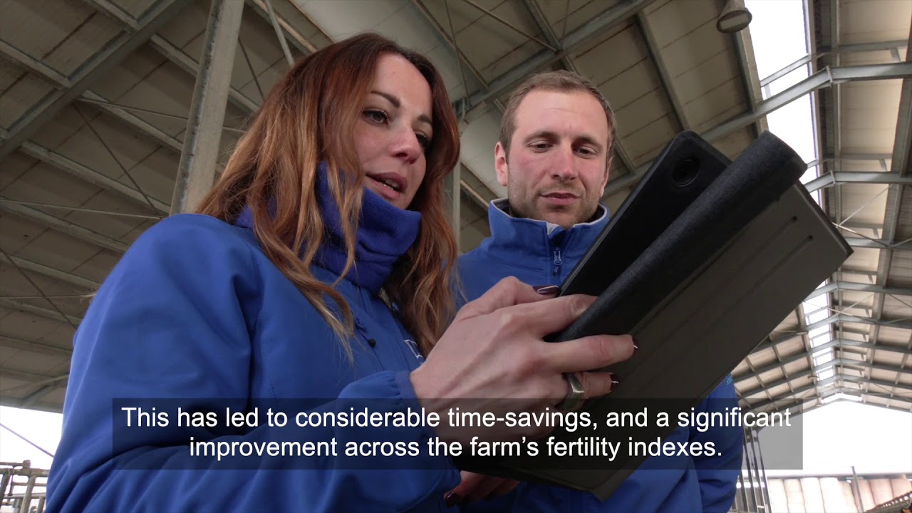 Allflex SenseHub in the Ciaolatte Agricultural Company, Parma Province, Italy