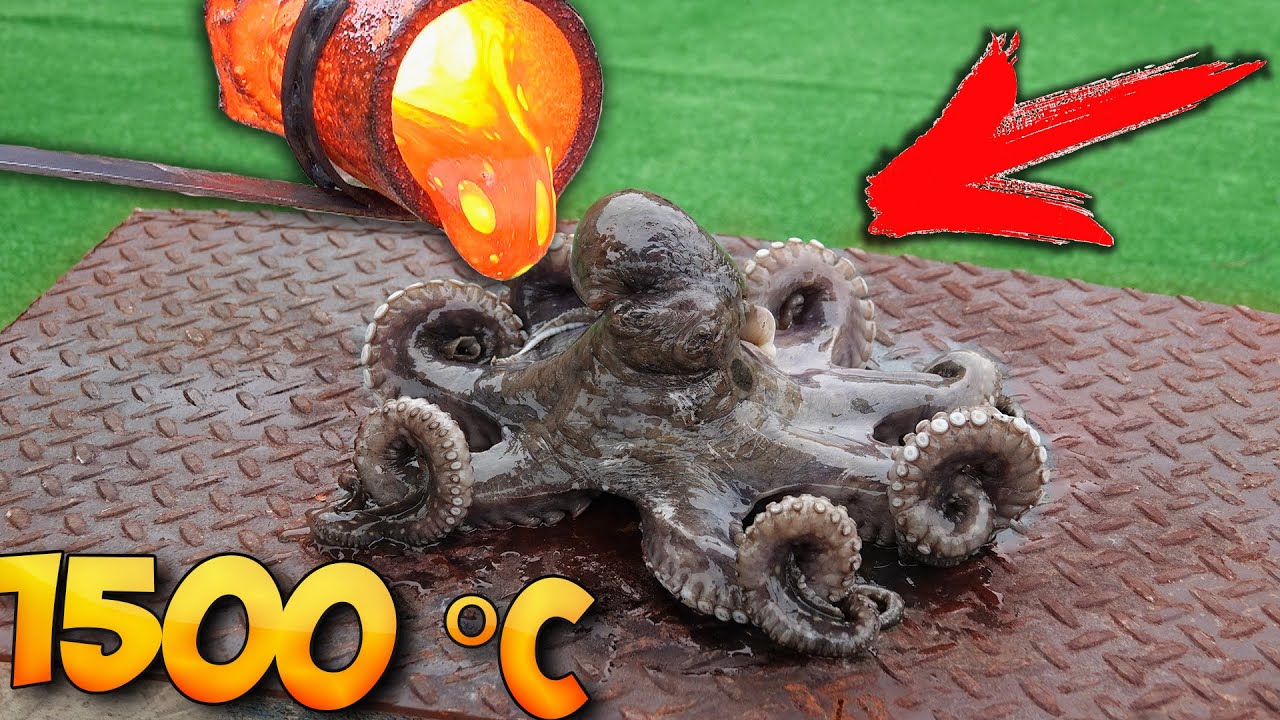 🔥EKSPERIMEN: LAVA VS GURITA!!! // Si Gila Timon
