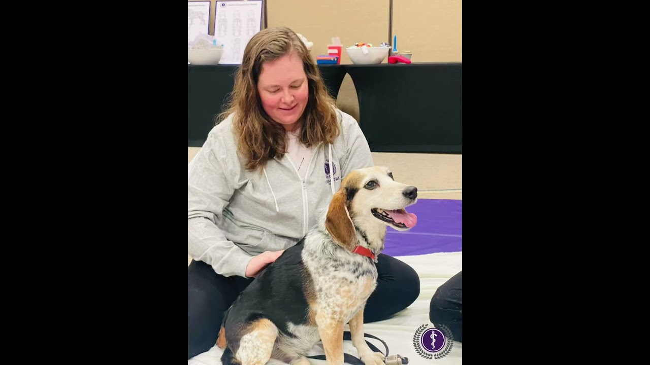 CuraCore VET Teaches Living Anatomy #acupuncture