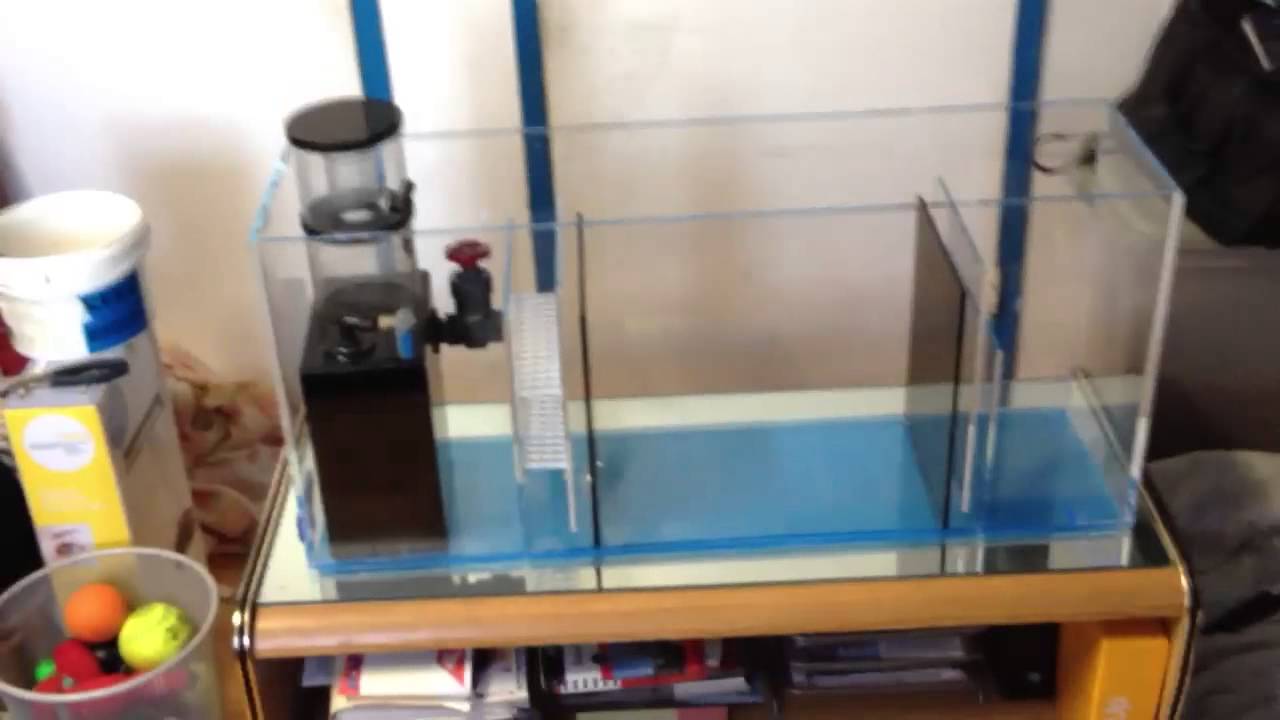 DIY Sump/Refugium Part 2 (Customer 1)