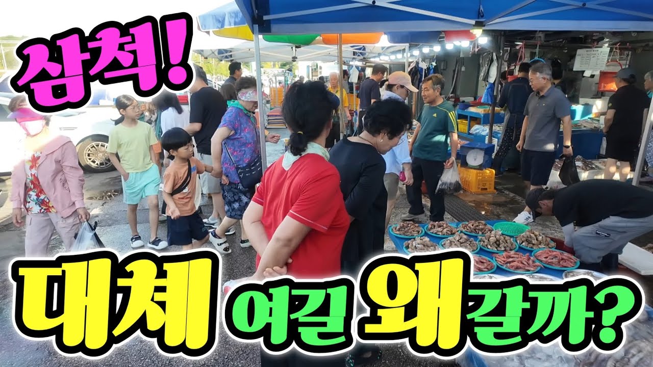 삼척 번개 어시장 싸도 너무 싸! 손님 없어 싹다 퍼준다? 진짜 충격 딱 5시간! 여길 왜갈까? korean fish market channel 