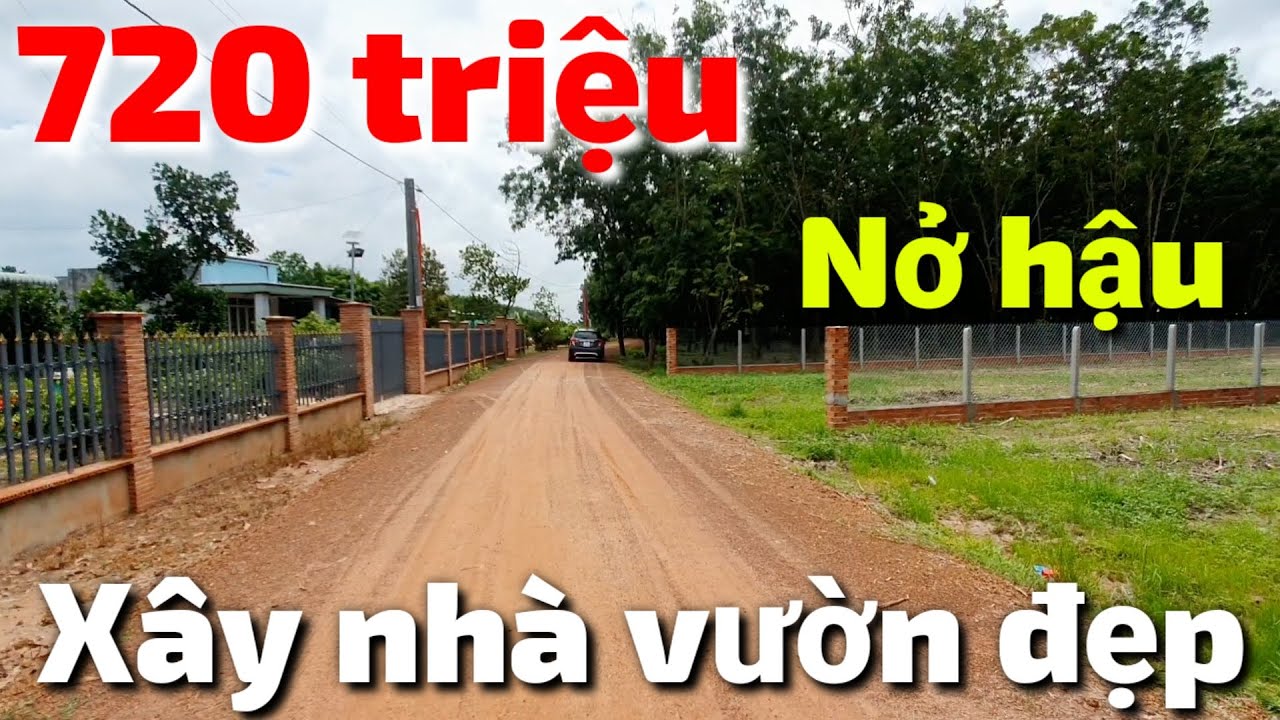 Bán đất 13x77 đúng 1000m2 có thổ cư xây nhà vườn rất đẹp giá 720 triệu Long Vĩnh Châu Thành Tây Ninh