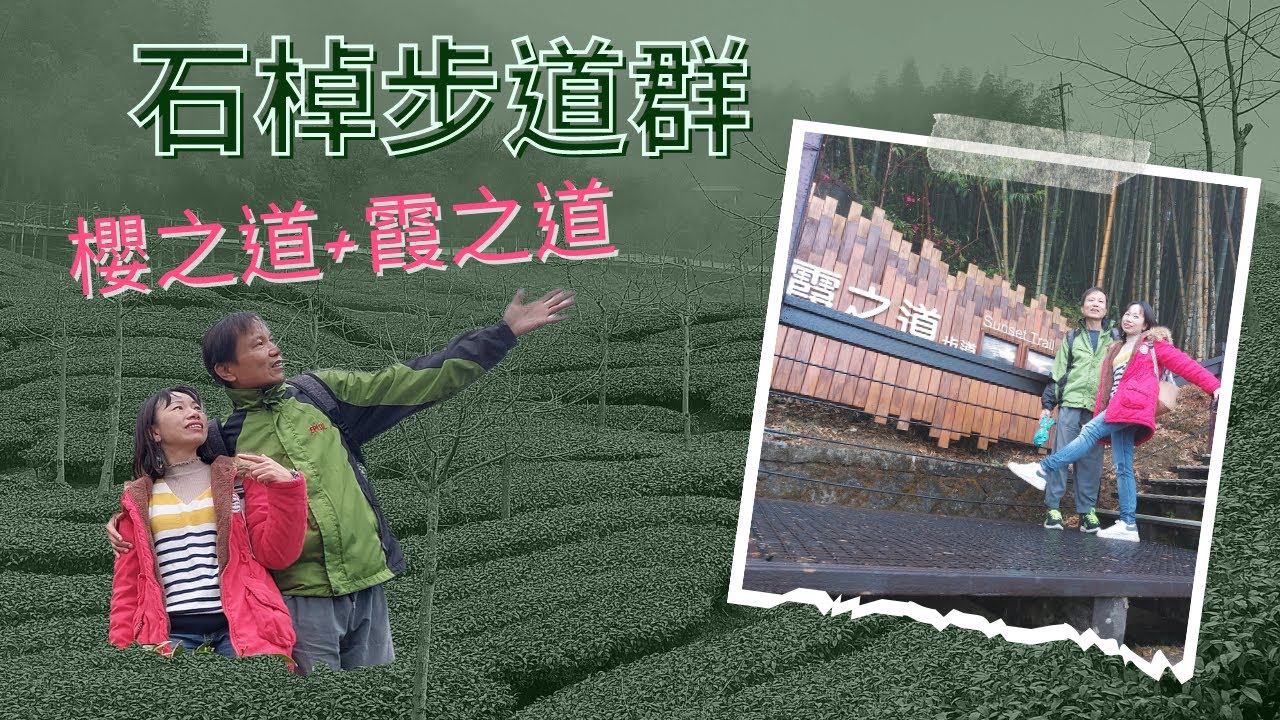 跟著我們去阿里山的茶園吧 ~ 整個解放你的心 
