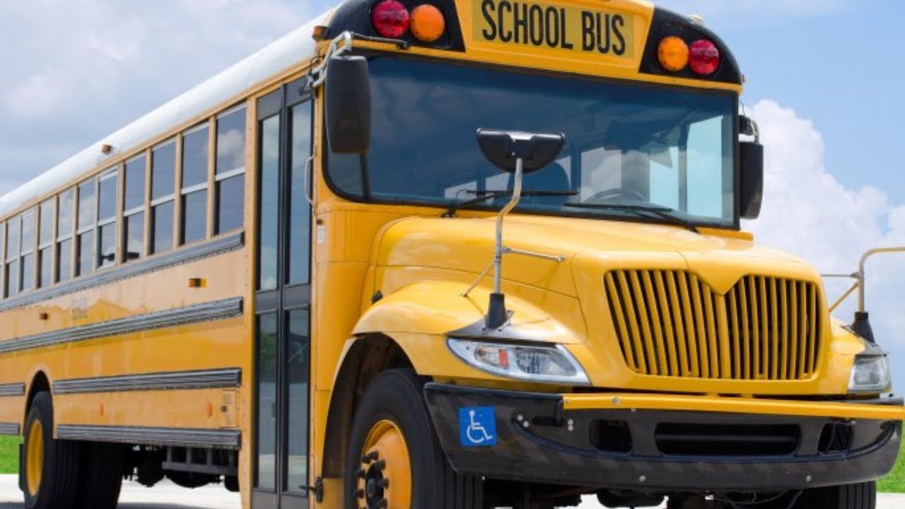 We Finally Know Why Buses Don't Have Seatbelts