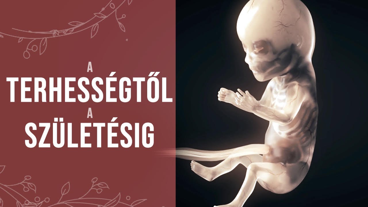 Terhess&eacute;g - Egy csoda sz&uuml;let&eacute;se (anim&aacute;ci&oacute;)
