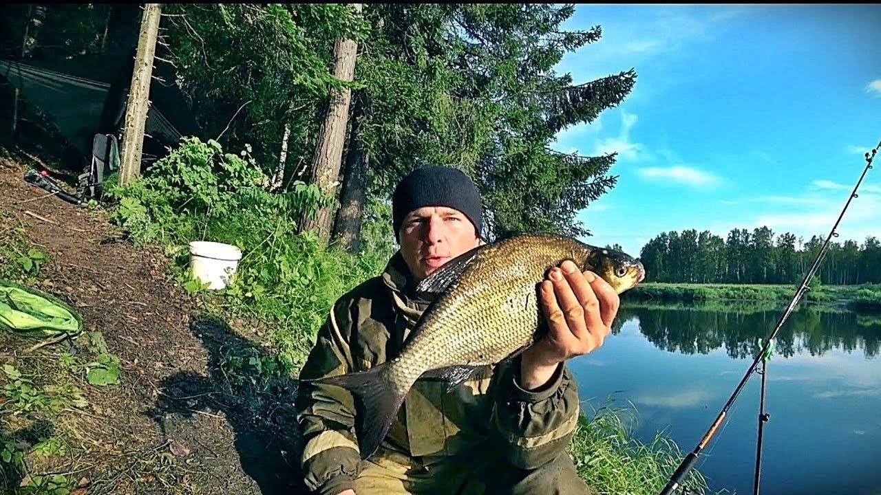 ЛОВЛЯ ЛЕЩА НА ДОНКИ/ПРАВИЛЬНЫЙ МОНТАЖ/РЫБАЛКА С НОЧЁВКОЙ/НОВЫЕ МЕСТА...