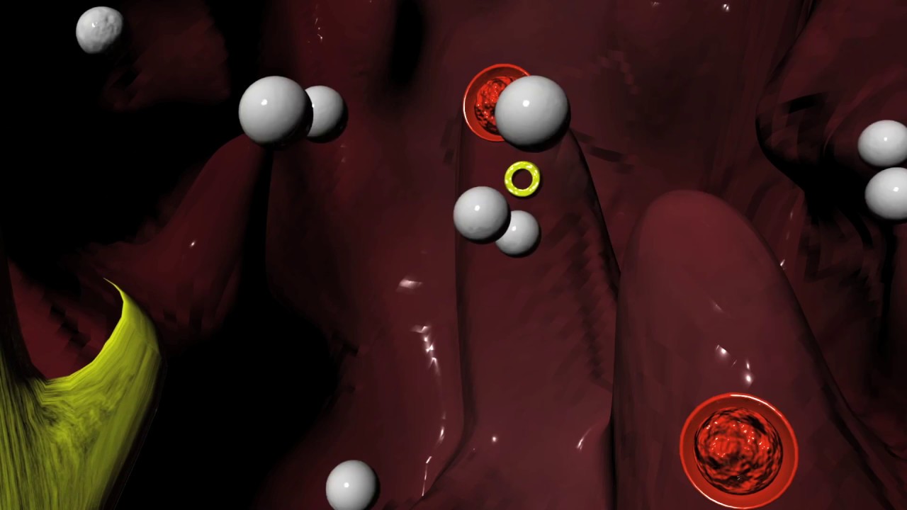 Beta Blockers for Hypertension (high blood pressure), Arrhythmias (irregular heartbeat)