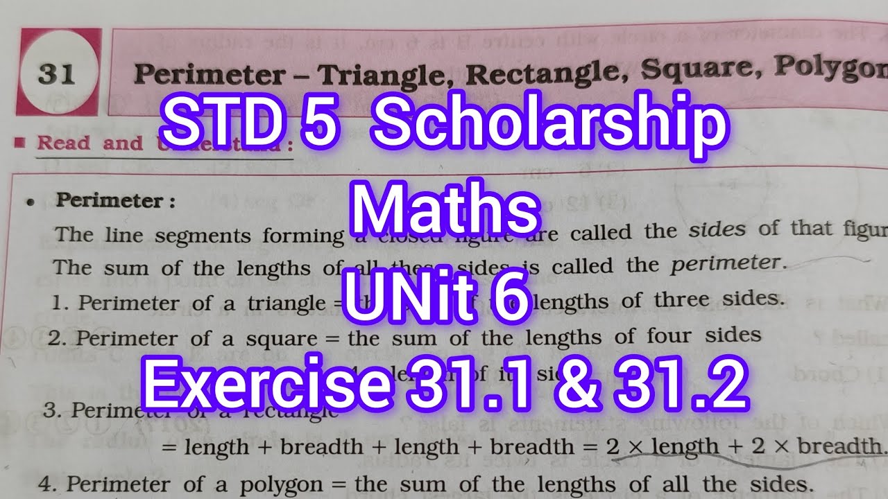 Std 5 Maths Scholarship | Exercise 31.1 & 31.2 | #easymaths #maharashtraboard #scholarshipexam 