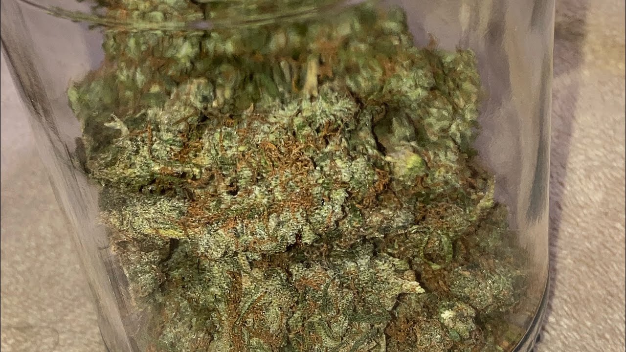 Resultado das flores do prenseeds, Buds prenseeds.