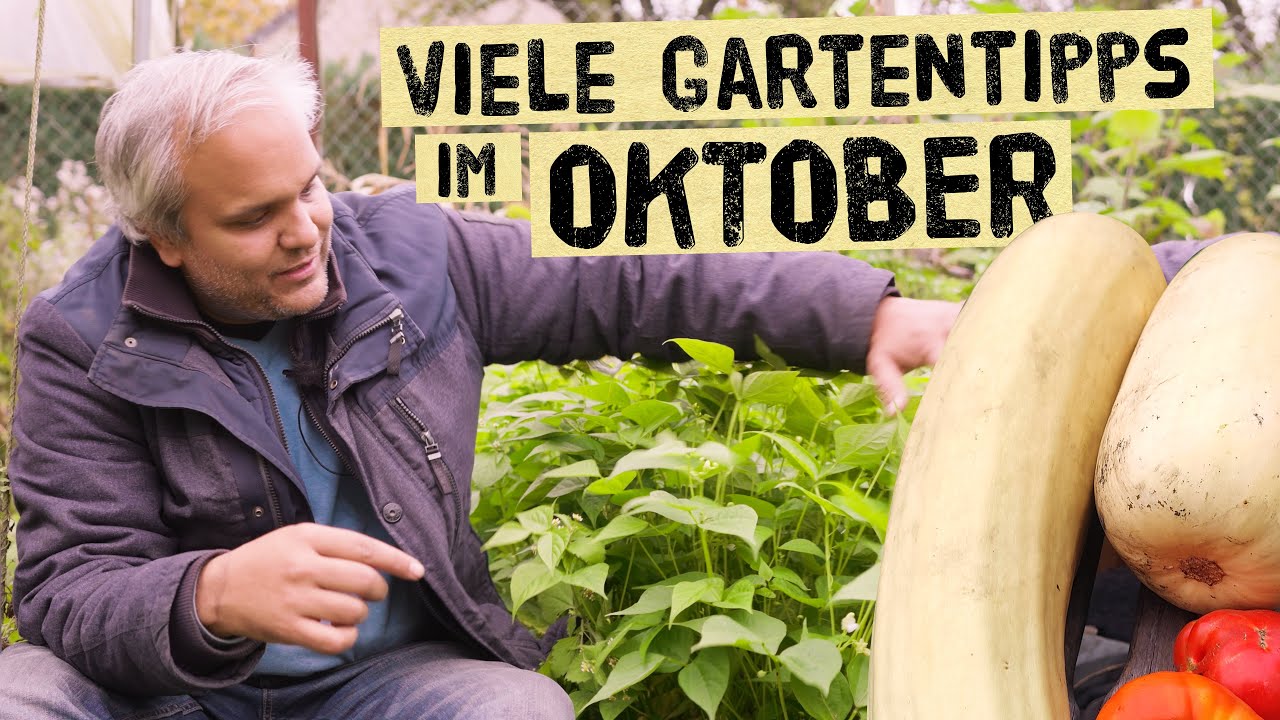 Gem&uuml;segarten im Oktober &ndash; so sparst du im Fr&uuml;hjahr viel Arbeit im Selbstversorgergarten