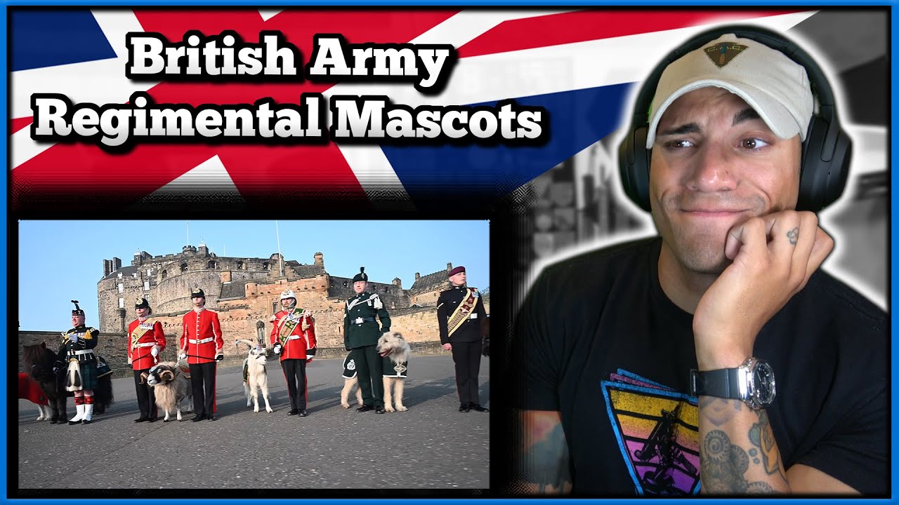 US Marine reacts to the British Army's Regimental Mascots