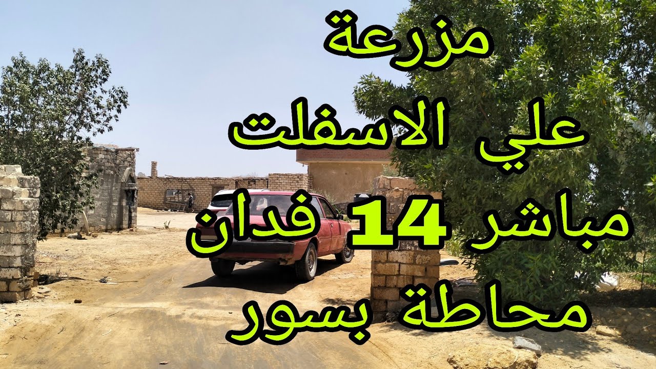 مزرعة 14 فدان للبيع علي الاسفلت مباشر محاطة بسور نموذجية متكاملة زراعي سكني حيواني داجني