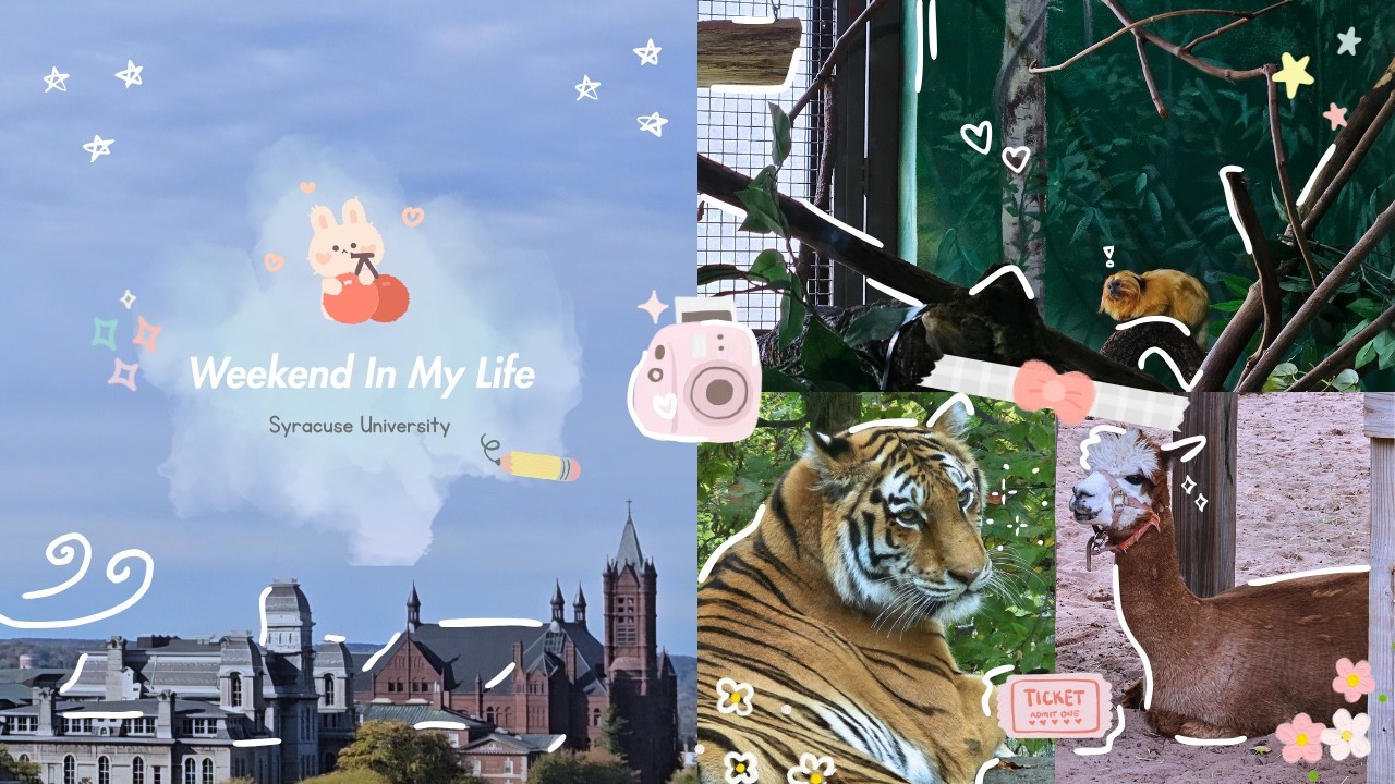 Weekend in My Life Vlog | Syracuse University 🐾 ‧₊˚ ⋅