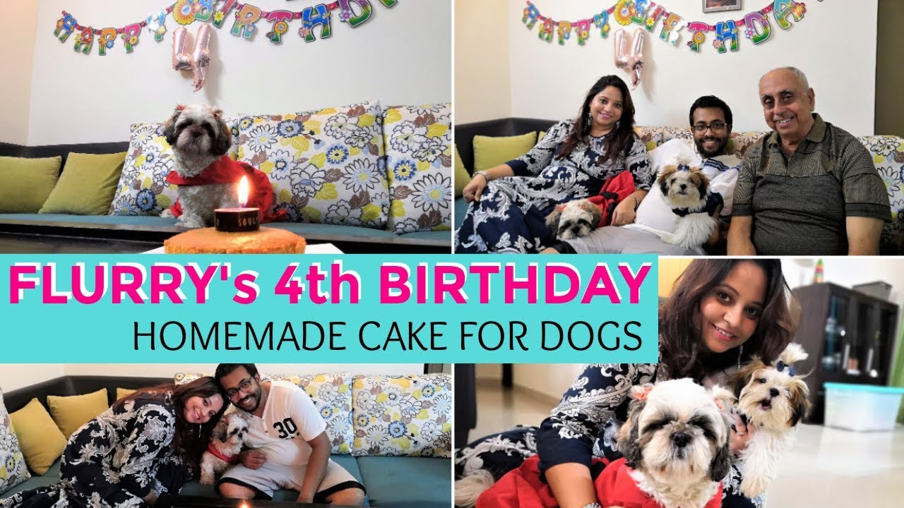Flurry's Birthday | What Are We Shopping For The New Home | DIY Doggie Cake