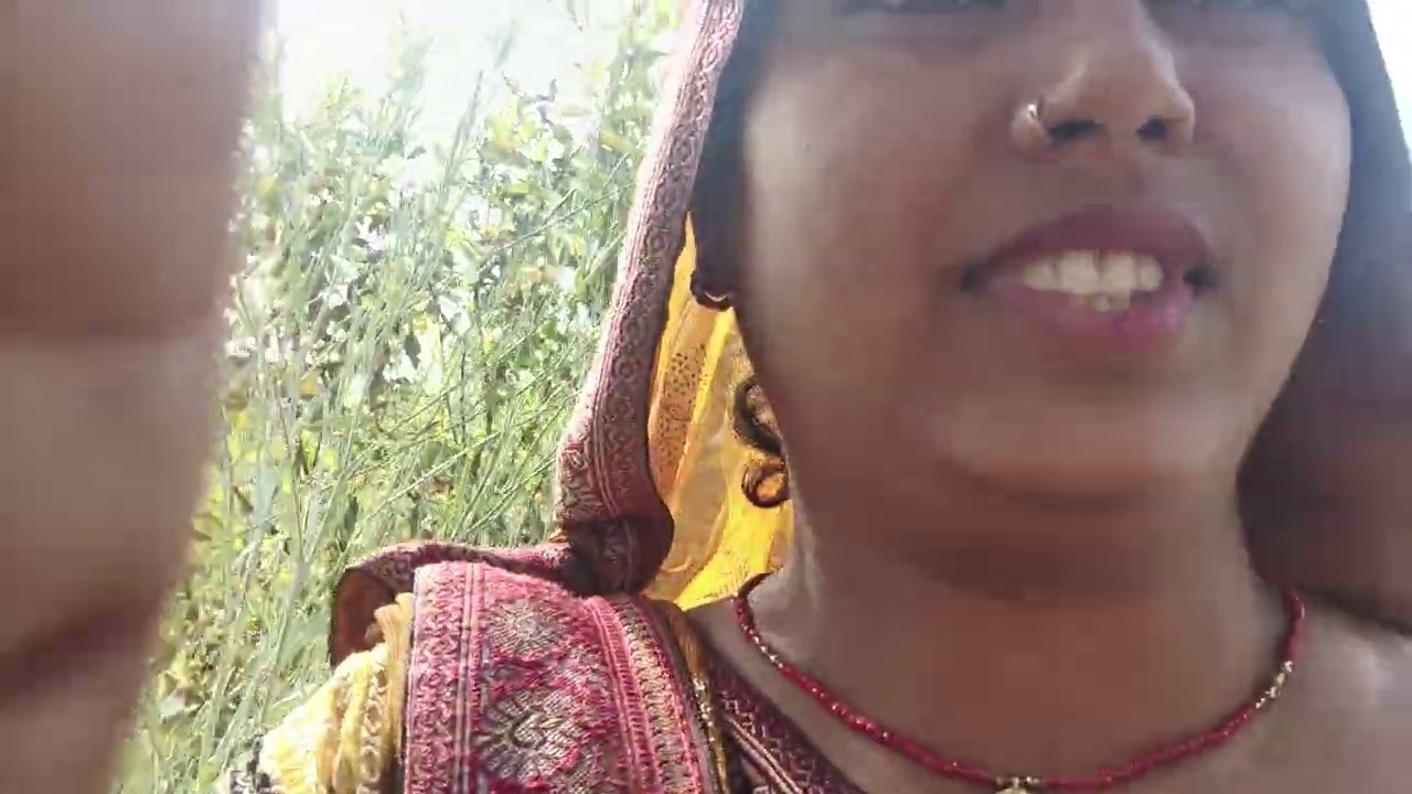 गुड़िया पाल के खेत में हुई चोरी ब्लॉक वीडियो कैसे लगा 