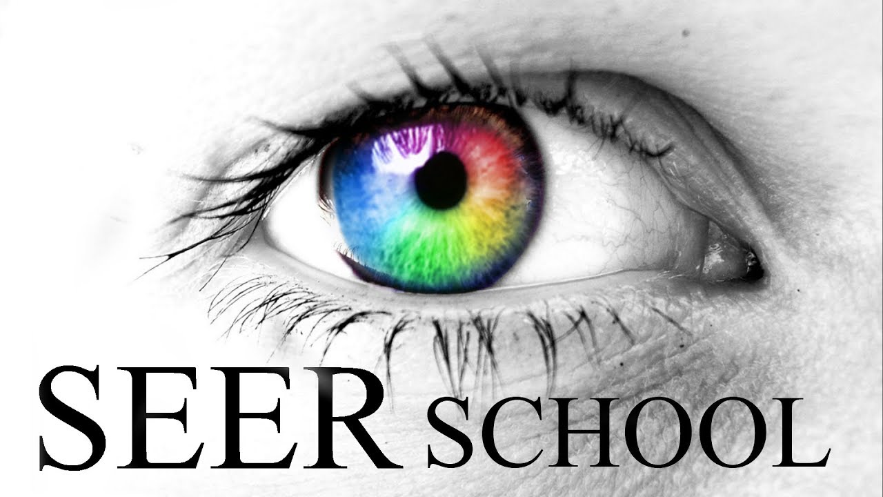 SEER SCHOOL with Michael Van Vlymen - 2 Resources and Qualifications