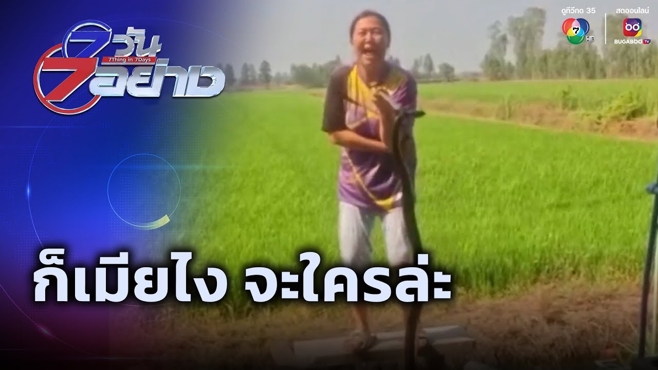 ก็เมียไง จะใครล่ะ | 7 วัน 7 อย่าง