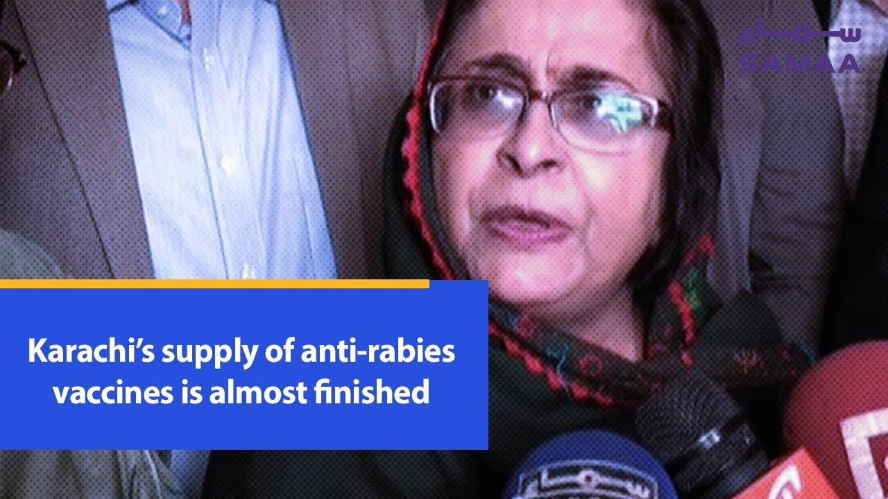 Karachi’s supply of anti-rabies vaccines is almost finished | SAMAA TV | 22 January,2019
