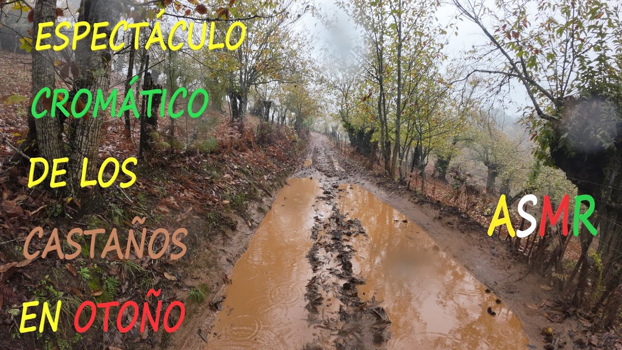 Senderismo por Alájar, El Calabacino, Castaño del Robledo y la Peña de Arias Montano (Otoño). [ASMR]