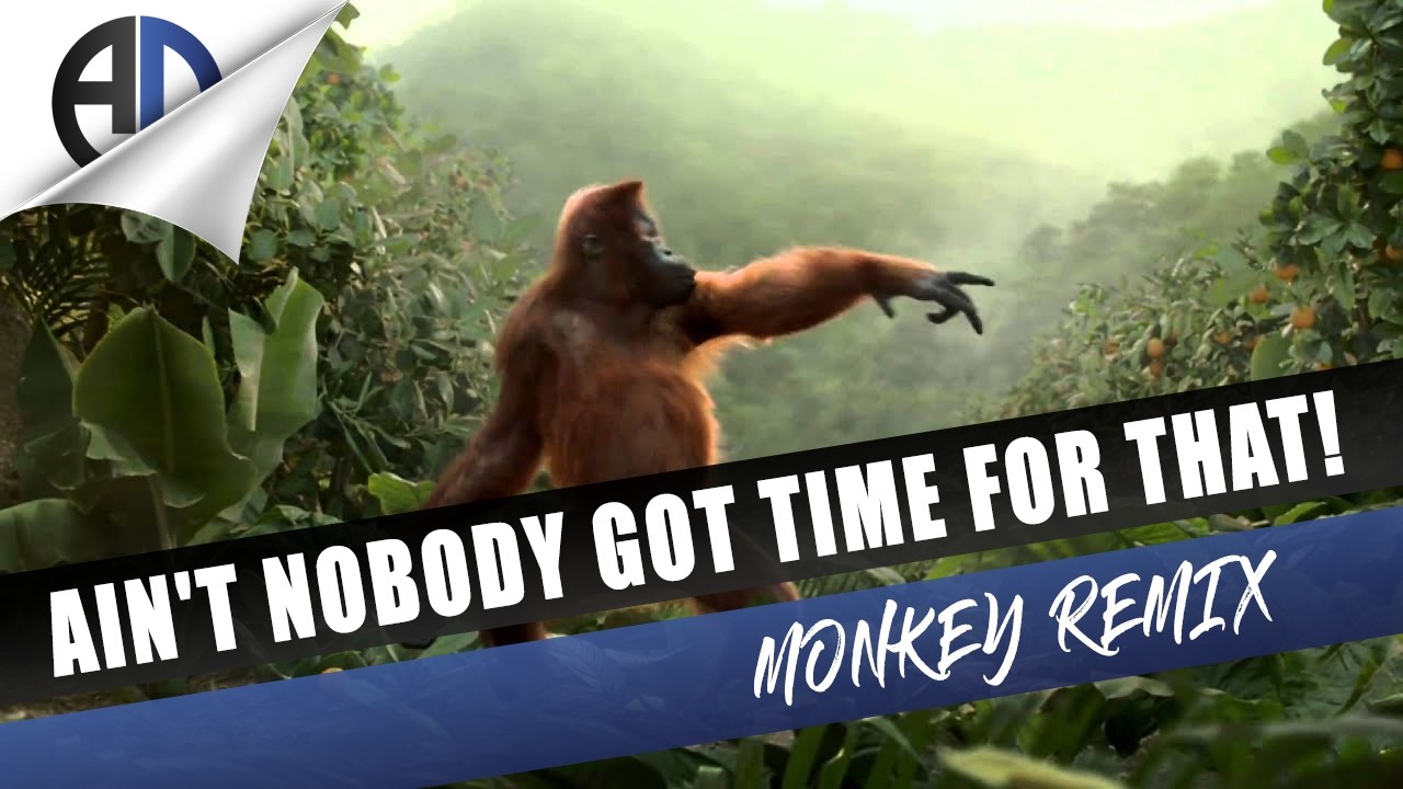 Ain't Nobody Got Time For That (Monkey Remix)
