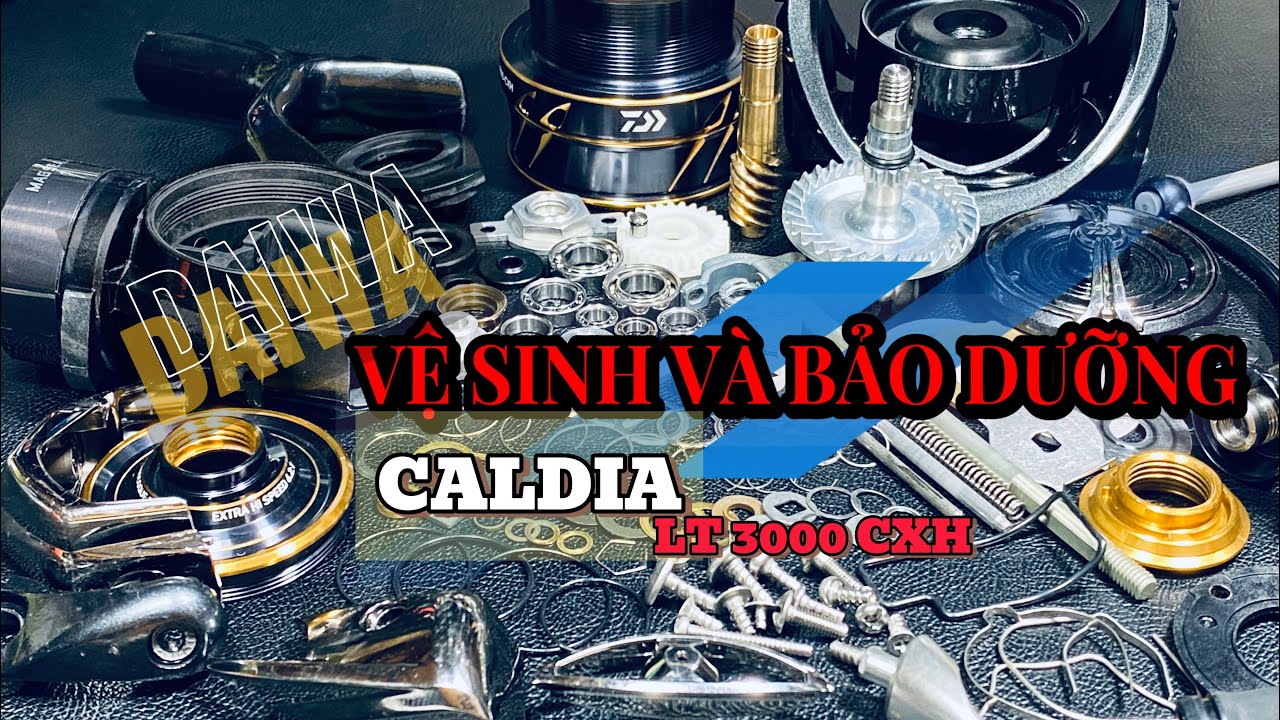 Vệ sinh và bảo dưỡng chi tiết máy đứng Daiwa Caldia LT 3000 CXH | #hiepfishingtv