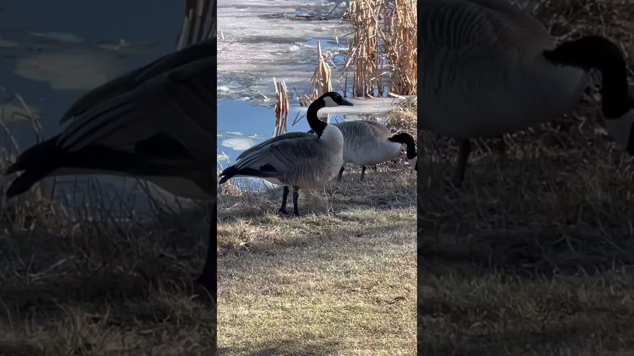 Sunny Day Nature Walk 